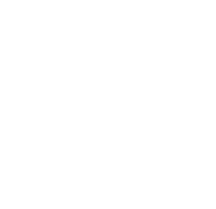 play-icon